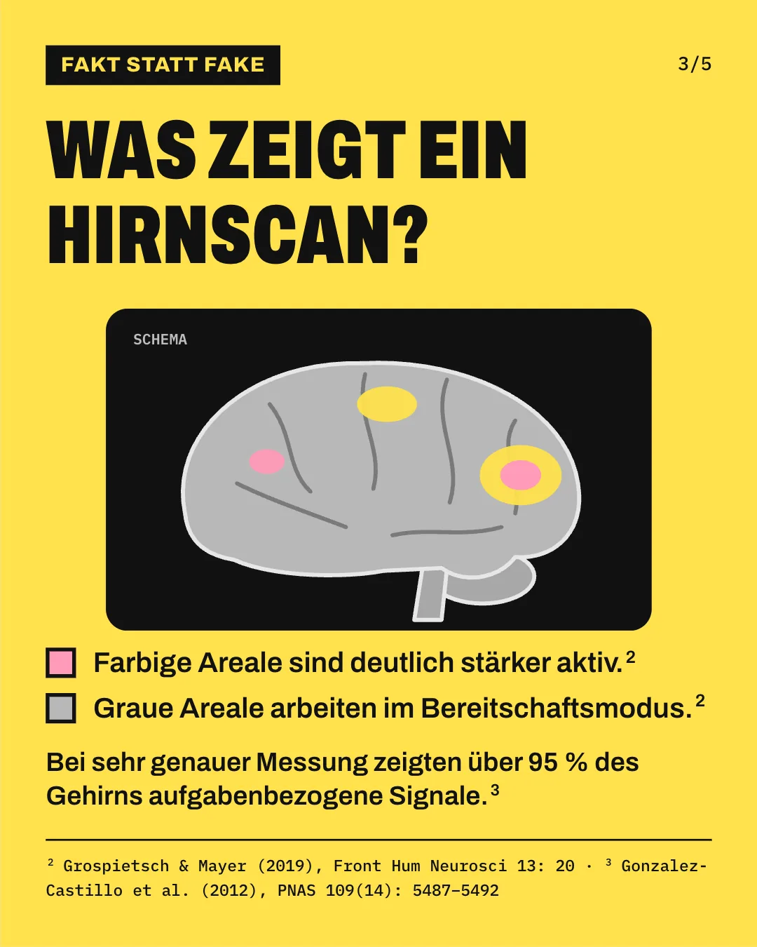 Slide 3: Was zeigt ein Hirnscan? Die Schemagrafik eines Hirnscans zeigt ein graues Gehirn auf dunklem Grund mit wenigen gelben und rosa Flecken. Farbige Areale sind deutlich stärker aktiv. Graue Areale arbeiten im Bereitschaftsmodus. Bei sehr genauer Messung zeigten über 95 % des Gehirns aufgabenbezogene Signale.