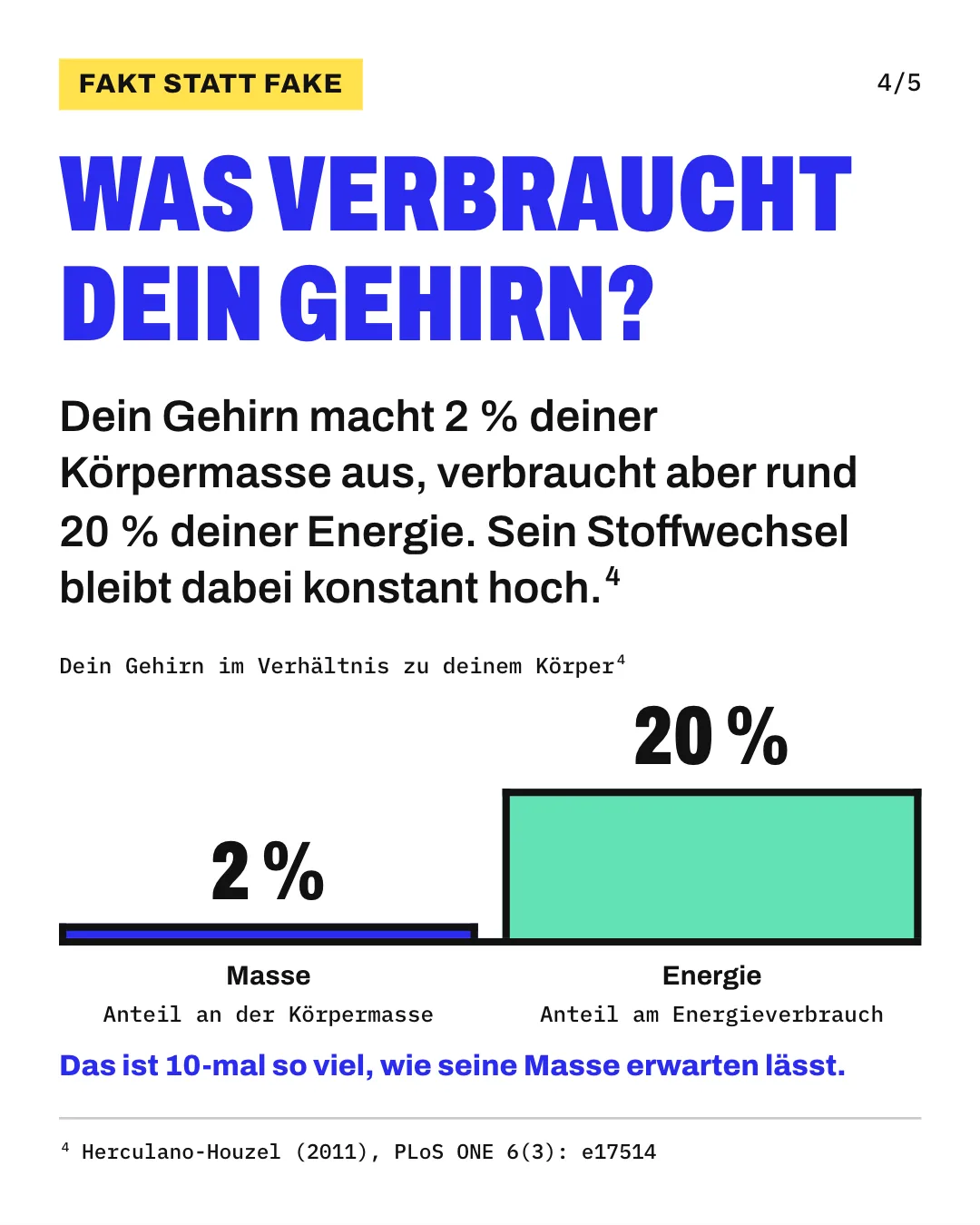 Slide 4: Was verbraucht dein Gehirn? Dein Gehirn macht 2 % deiner Körpermasse aus, verbraucht aber rund 20 % deiner Energie. Sein Stoffwechsel bleibt dabei konstant hoch. Die Säulengrafik „Dein Gehirn im Verhältnis zu deinem Körper“ zeigt für „Masse“ (Anteil an der Körpermasse) 2 % und für „Energie“ (Anteil am Energieverbrauch) 20 %. Das ist 10-mal so viel, wie seine Masse erwarten lässt.
