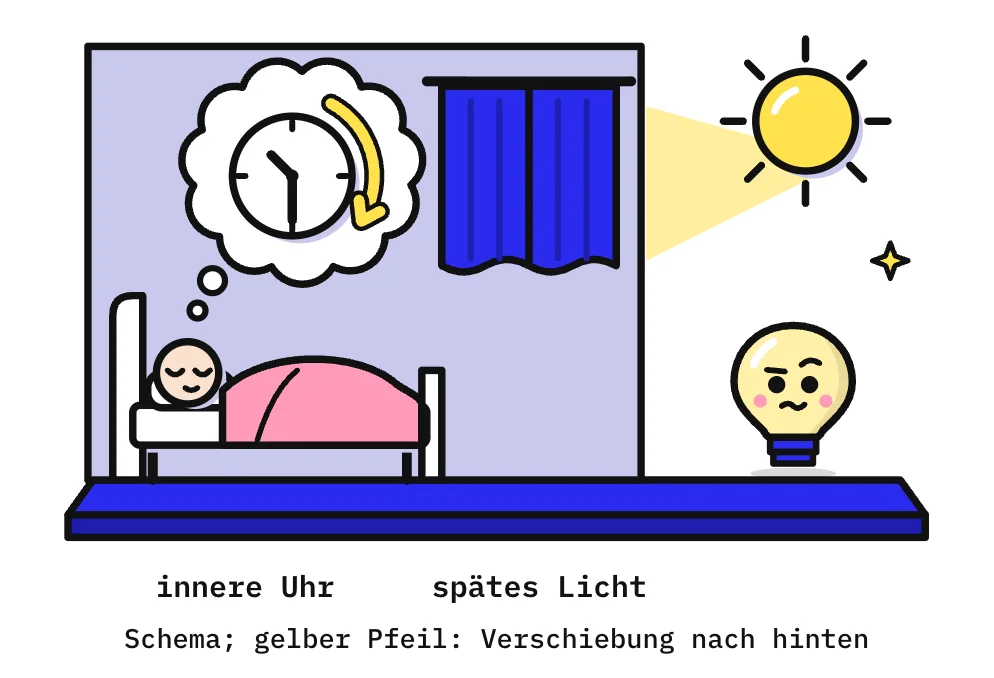 Die Zeichnung zeigt links ein dämmriges Schlafzimmer. Im Bett schläft eine Person unter einer rosa Decke, die blauen Vorhänge vor dem Fenster sind geschlossen. Draußen steht die Sonne schon hoch, ihr Licht endet an der Außenwand. Über der schlafenden Person steht eine Gedankenblase mit einer Uhr, deren gelber Pfeil im Uhrzeigersinn zeigt: Die innere Uhr verschiebt sich nach hinten. Rechts draußen steht Kopfi und schaut neugierig zu.