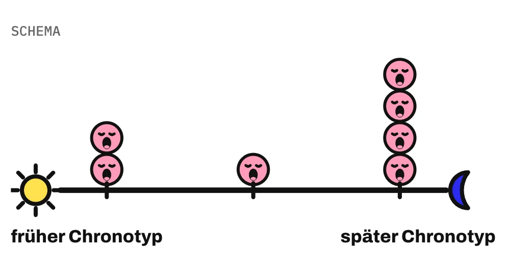 Die Grafik zeigt ein Schema: eine Achse von einem frühen Chronotyp mit Sonne bis zu einem späten Chronotyp mit Mond. Über dem frühen Typ stehen 2 gähnende Gesichter, über dem mittleren 1 und über dem späten 4. Mehr Gesichter bedeuten mehr sozialen Jetlag; sie zeigen nur die Rangfolge und sind keine Messwerte. Am wenigsten haben mittlere Typen; die Gesichter zeigen die Rangfolge, keine Messwerte.