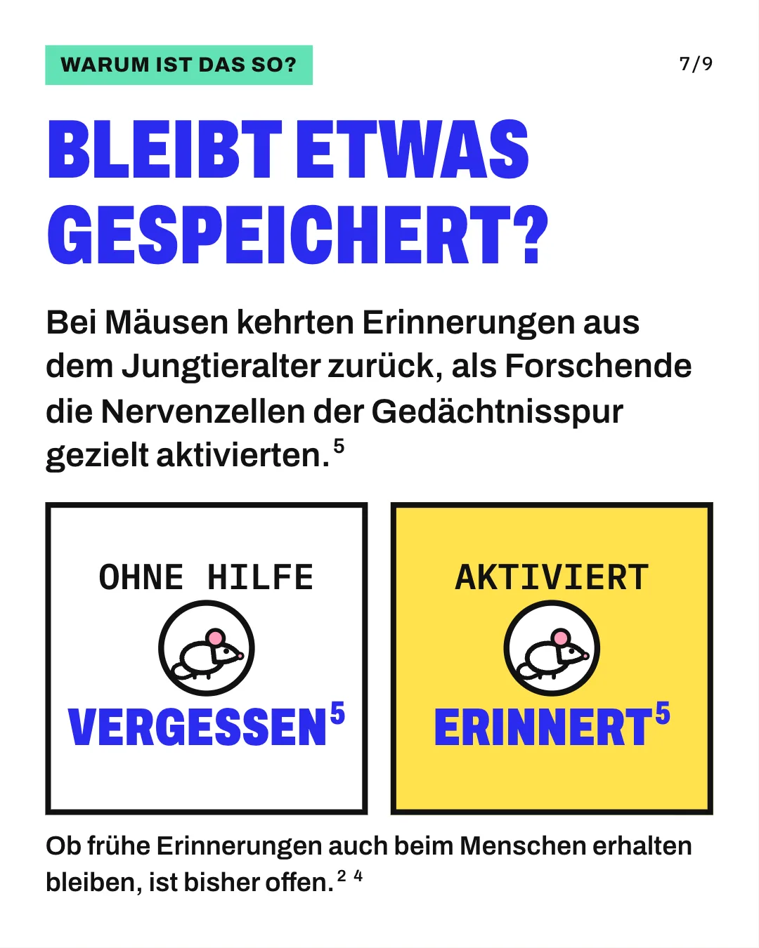 Slide 7: Bleibt etwas gespeichert? Bei Mäusen kehrten Erinnerungen aus dem Jungtieralter zurück, als Forschende die Nervenzellen der Gedächtnisspur gezielt aktivierten. Die Grafik stellt 2 Karten nebeneinander, beide mit einer Versuchsmaus. Links steht „ohne Hilfe“ und darunter „vergessen“, rechts steht „aktiviert“ und darunter „erinnert“. Ob frühe Erinnerungen auch beim Menschen erhalten bleiben, ist bisher offen.