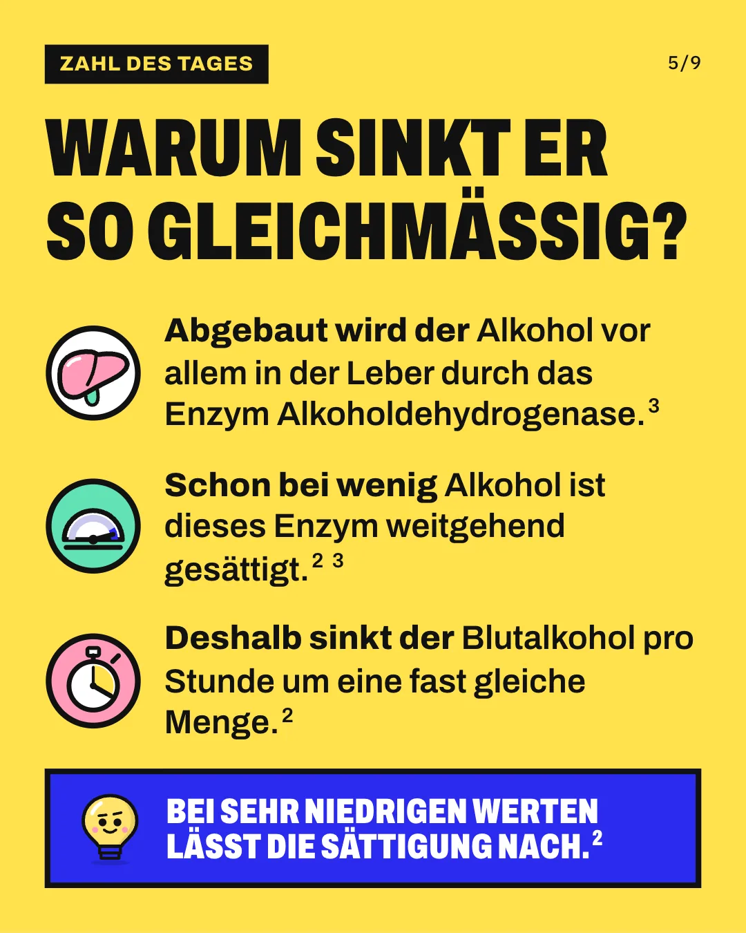 Slide 5: Warum sinkt er so gleichmäßig? Abgebaut wird der Alkohol vor allem in der Leber durch das Enzym Alkoholdehydrogenase. Schon bei wenig Alkohol ist dieses Enzym weitgehend gesättigt. Deshalb sinkt der Blutalkohol pro Stunde um eine fast gleiche Menge. Bei sehr niedrigen Werten lässt die Sättigung nach.