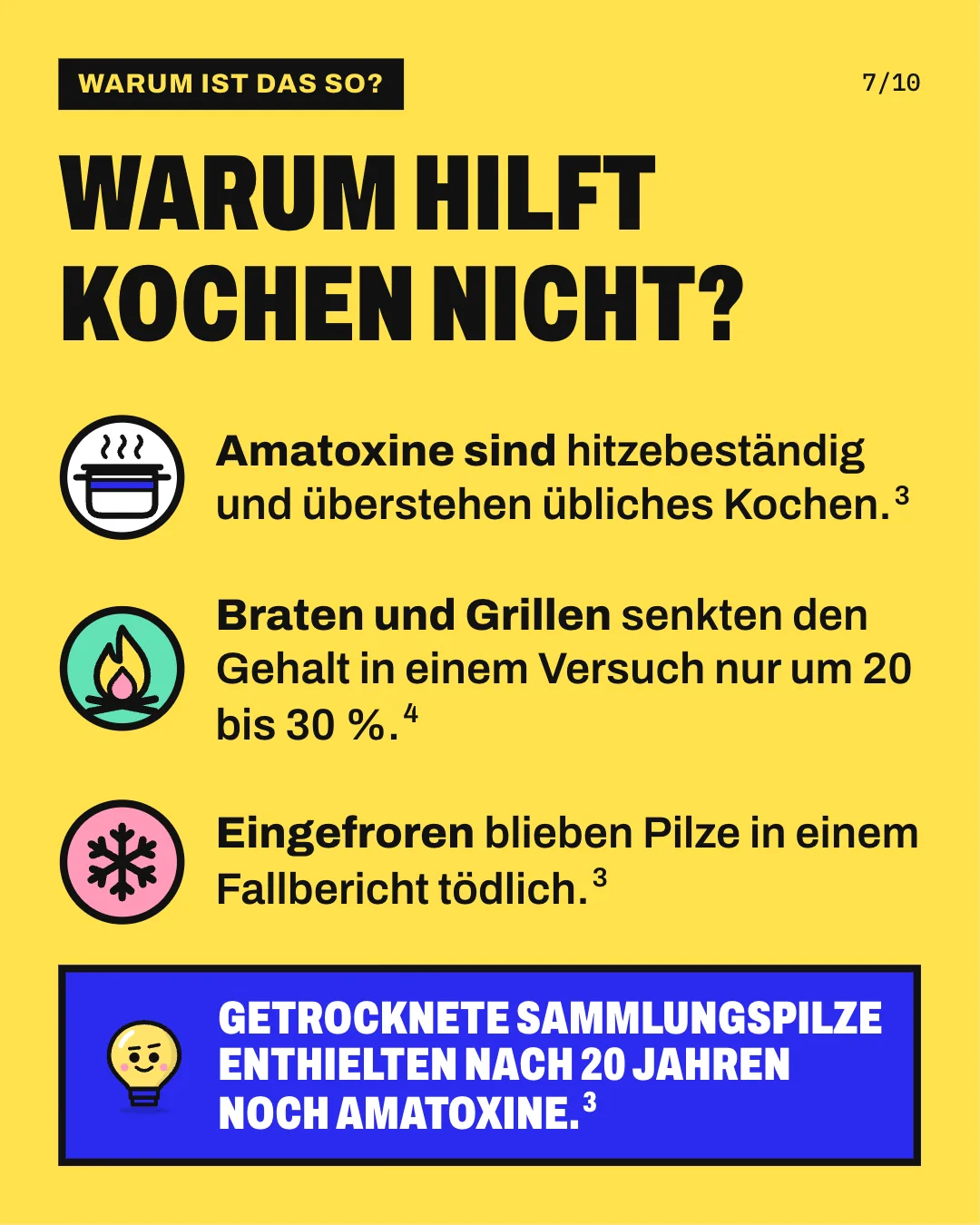 Slide 7: Warum hilft Kochen nicht? Amatoxine sind hitzebeständig und überstehen übliches Kochen. Braten und Grillen senkten den Gehalt in einem Versuch nur um 20 bis 30 %. Eingefroren blieben Pilze in einem Fallbericht tödlich. Getrocknete Sammlungspilze enthielten nach 20 Jahren noch Amatoxine.
