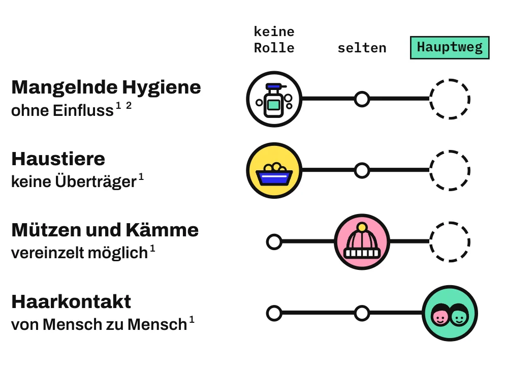 Die Grafik ordnet 4 vermutete Ursachen eines Kopflausbefalls auf einer Leiste von „keine Rolle“ über „selten“ bis „Hauptweg“ ein. Mangelnde Hygiene und Haustiere stehen bei „keine Rolle“, gemeinsam genutzte Mützen und Kämme bei „selten“, der direkte Haarkontakt von Mensch zu Mensch bei „Hauptweg“.