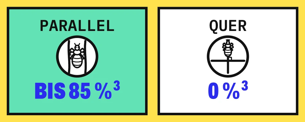 Die Grafik stellt 2 Karten gegenüber: links 2 parallele Haare mit einer Laus dazwischen, hier wechselten im Laborversuch bis zu 85 % der Läuse auf das andere Haar; rechts 2 Haare, die sich im rechten Winkel kreuzen, hier wechselte keine Laus. Getestet wurden 480 Läuse; langsame Bewegung begünstigte den Wechsel.