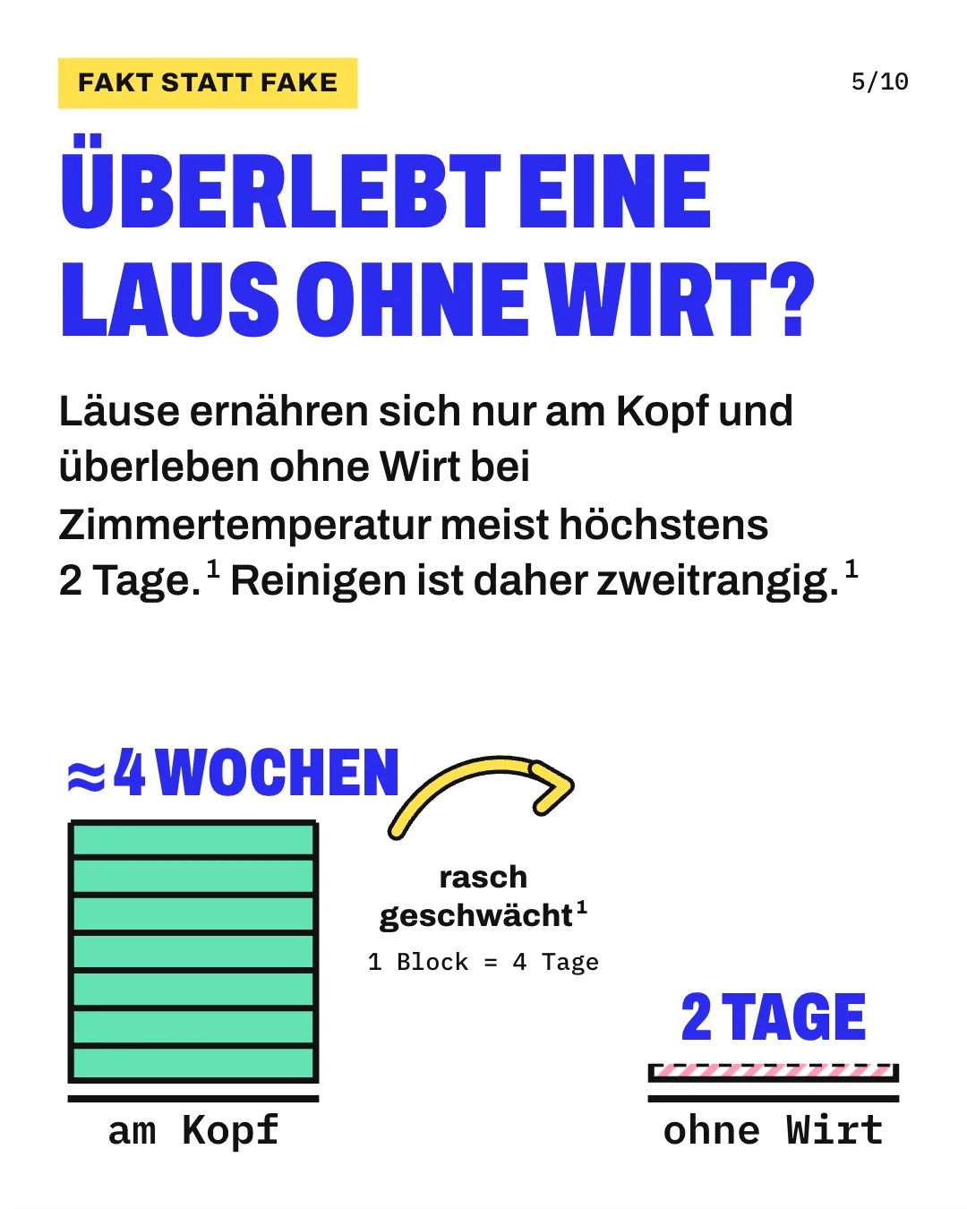 Slide 5: Überlebt eine Laus ohne Wirt? Läuse ernähren sich nur am Kopf und überleben ohne Wirt bei Zimmertemperatur meist höchstens 2 Tage. Reinigen ist daher zweitrangig. Die Grafik zeigt 2 Türme aus Blöcken, 1 Block steht für 4 Tage. Am Kopf lebt ein Lausweibchen etwa 4 Wochen, das sind 7 Blöcke; ohne Wirt überleben Läuse bei Zimmertemperatur meist höchstens 2 Tage, das ist ein halber Block.