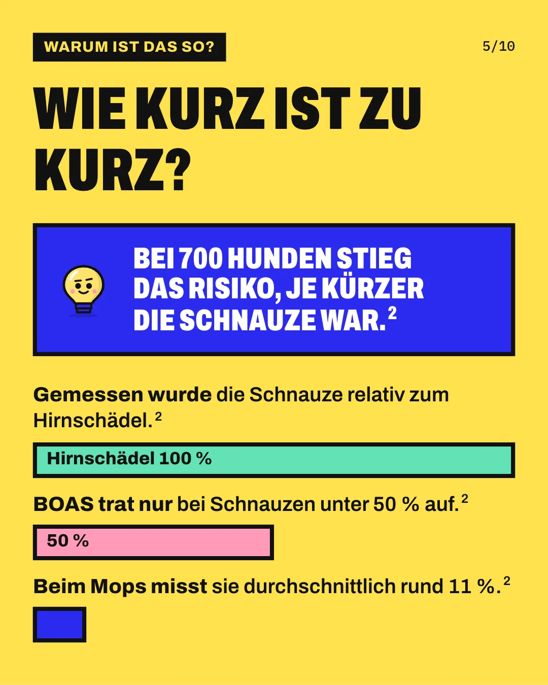 Slide 5: Wie kurz ist zu kurz? Die Grafik zeigt 3 waagrechte Balken im richtigen Verhältnis: die Länge des Hirnschädels als 100 Prozent, die Grenze von 50 Prozent, unterhalb der in der Studie Atemwegsprobleme auftraten, und die Schnauze des Mopses mit durchschnittlich rund 11 Prozent der Hirnschädellänge. Bei 700 Hunden stieg das Risiko, je kürzer die Schnauze war.
