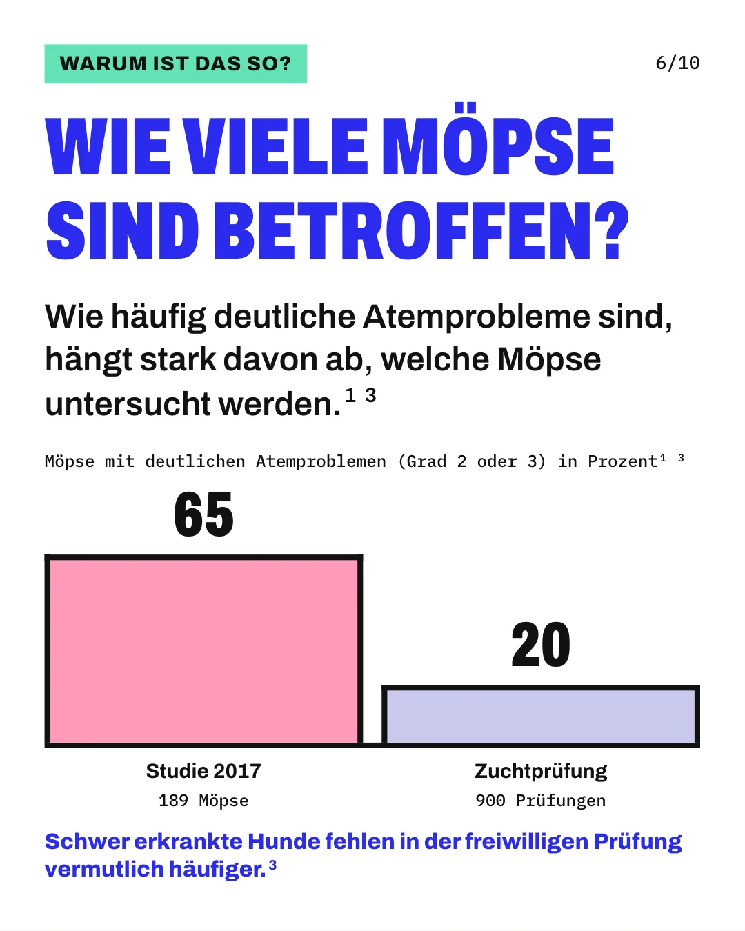 Slide 6: Wie viele Möpse sind betroffen? Wie häufig deutliche Atemprobleme sind, hängt stark davon ab, welche Möpse untersucht werden. Die Säulengrafik „Möpse mit deutlichen Atemproblemen (Grad 2 oder 3) in Prozent“ zeigt für „Studie 2017“ (189 Möpse) 65 und für „Zuchtprüfung“ (900 Prüfungen) 20. Schwer erkrankte Hunde fehlen in der freiwilligen Prüfung vermutlich häufiger.