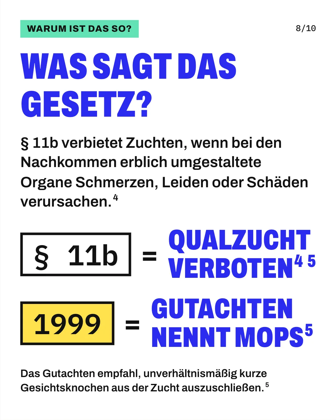 Slide 8: Was sagt das Gesetz? § 11b verbietet Zuchten, wenn bei den Nachkommen erblich umgestaltete Organe Schmerzen, Leiden oder Schäden verursachen. Die Grafik setzt „§ 11b“ mit „Qualzucht verboten“ und „1999“ mit „Gutachten nennt Mops“ gleich.