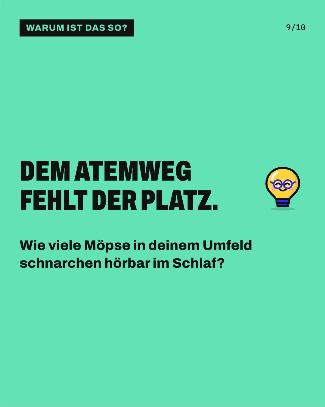 Slide 9: Dem Atemweg fehlt der Platz. Wie viele Möpse in deinem Umfeld schnarchen hörbar im Schlaf?