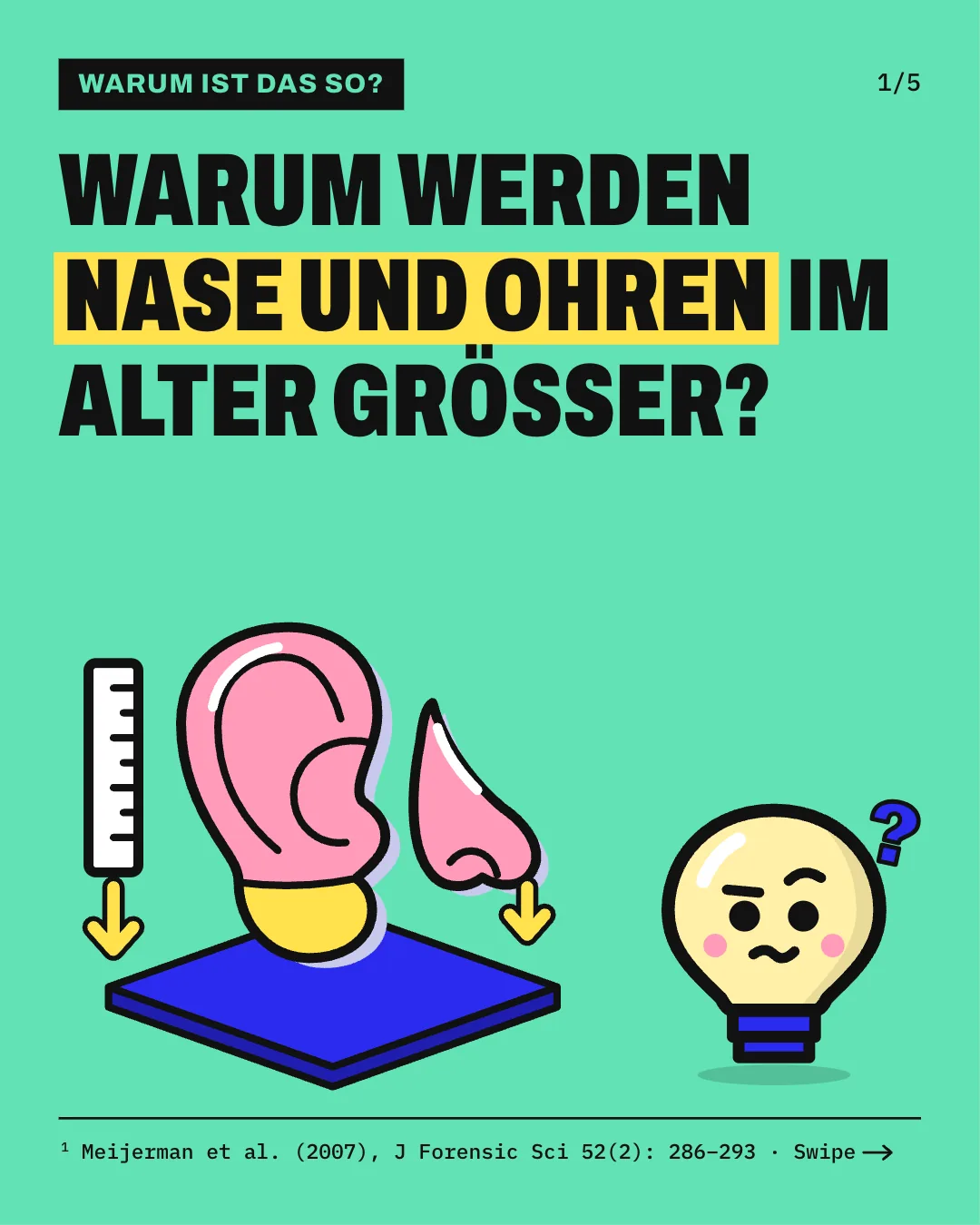 Slide 1: Warum werden Nase und Ohren im Alter größer? Auf einer blauen Fläche sind ein rosa Ohr mit gelbem Ohrläppchen und eine kleine rosa Nase zu sehen; links steht ein Lineal, und unter Lineal und Nasenspitze zeigen gelbe Pfeile nach unten. Daneben steht Kopfi, die Glühbirne.