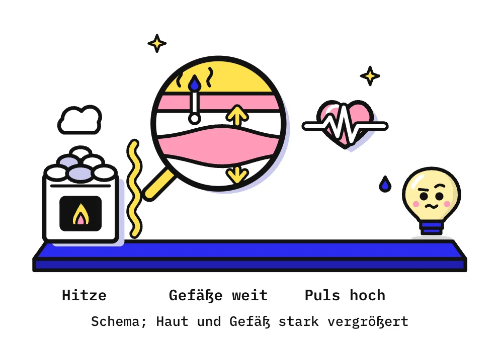 Die Zeichnung zeigt auf einer blauen Bühne links einen Saunaofen mit Steinen, darüber eine Dampfwolke und daneben eine gelbe Hitzewelle. In der Mitte vergrößert eine Lupe schematisch einen Schnitt durch die Haut: oben heiße Luft in Gelb, auf einer Schweißpore ein blauer Tropfen, über dem 2 Dampflinien aufsteigen; darunter die Haut in Rosa mit Schweißgang und Drüse, darunter ein Blutgefäß, das in der Mitte geweitet ist, 2 gelbe Pfeile zeigen nach außen. Rechts schwebt ein Herz mit einer weißen Pulszacke. Ganz rechts schaut Kopfi neugierig zu, neben ihm ein Schweißtropfen.