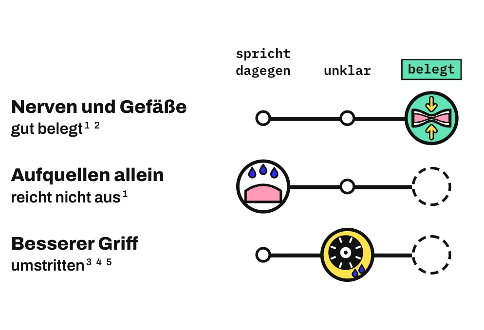 Die Grafik ordnet 3 Erklärungen auf einer Leiste von „spricht dagegen“ über „unklar“ bis „belegt“ ein. Dass Nerven die Blutgefäße verengen, ist gut belegt. Dass Aufquellen allein die Runzeln erzeugt, spricht gegen die Befunde. Ob die Runzeln den Griff verbessern, ist umstritten.