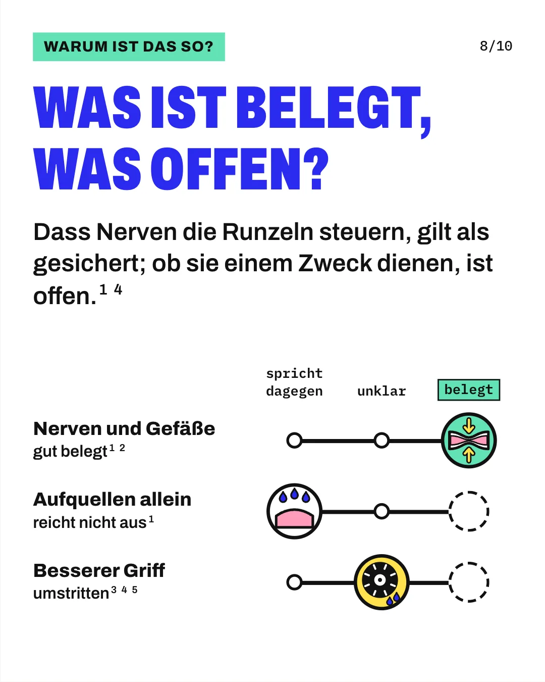 Slide 8: Was ist belegt, was offen? Dass Nerven die Runzeln steuern, gilt als gesichert; ob sie einem Zweck dienen, ist offen. Die Grafik ordnet 3 Erklärungen auf einer Leiste von „spricht dagegen“ über „unklar“ bis „belegt“ ein. Dass Nerven die Blutgefäße verengen, ist gut belegt. Dass Aufquellen allein die Runzeln erzeugt, spricht gegen die Befunde. Ob die Runzeln den Griff verbessern, ist umstritten.
