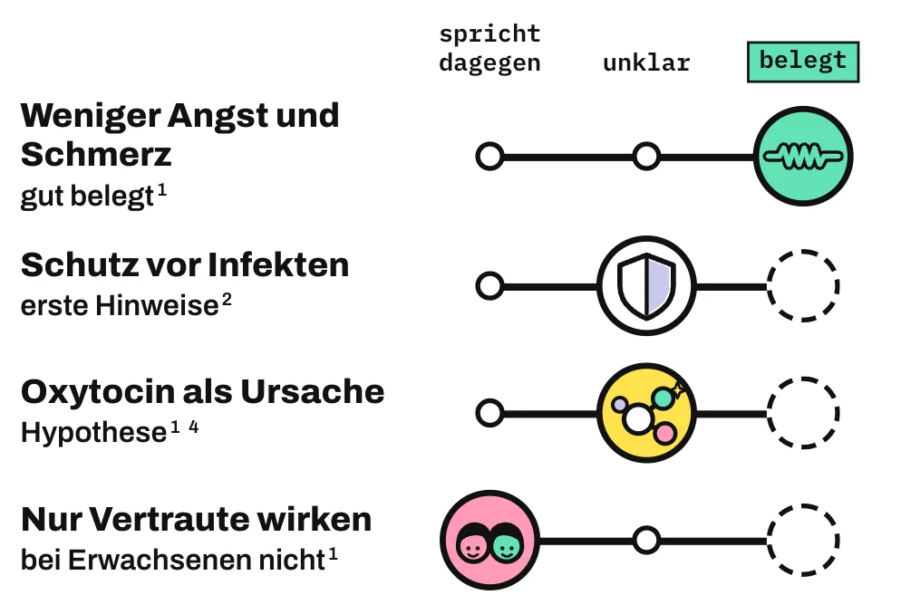 Die Grafik ordnet 4 Aussagen auf einer Leiste von „spricht dagegen“ über „unklar“ bis „belegt“ ein. Dass Berührung Angst und Schmerz lindert, ist gut belegt. Für einen Schutz vor Infekten gibt es erste Hinweise aus 1 Studie. Oxytocin als Ursache ist eine Hypothese. Dass nur Vertraute wirken, trifft bei Erwachsenen nicht zu.