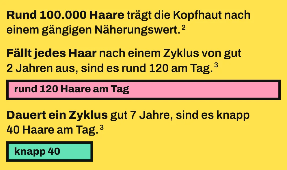 Die Grafik zeigt 2 maßstabsgetreue Balken einer realistischen Beispielrechnung mit rund 100.000 Kopfhaaren, von denen jedes einmal je Zyklus ausfällt. Bei einem Zyklus von gut 2 Jahren fallen rund 120 Haare am Tag aus, das ist der volle Balken. Bei gut 7 Jahren sind es knapp 40 Haare am Tag, ein knappes Drittel davon.